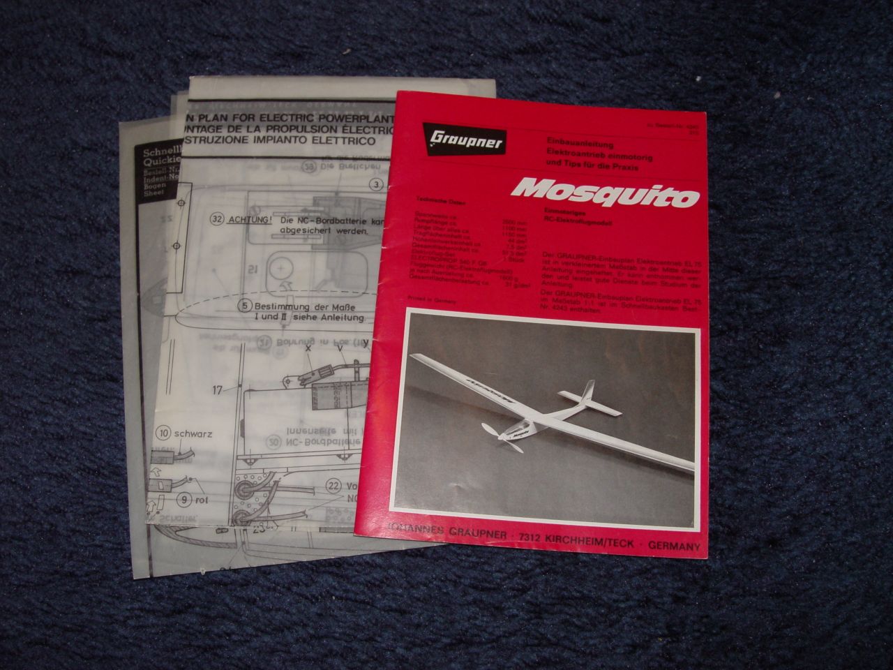 Mosquito_2