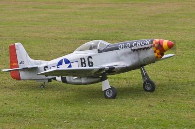 old crow1