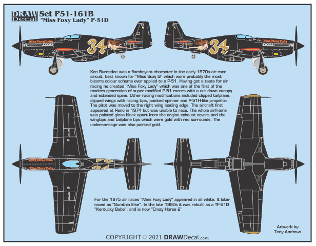 Ornithos_P-51__039