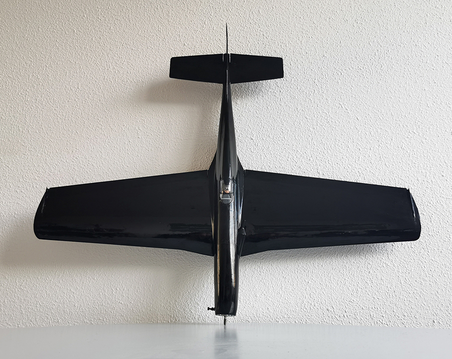 Ornithos_P-51__070