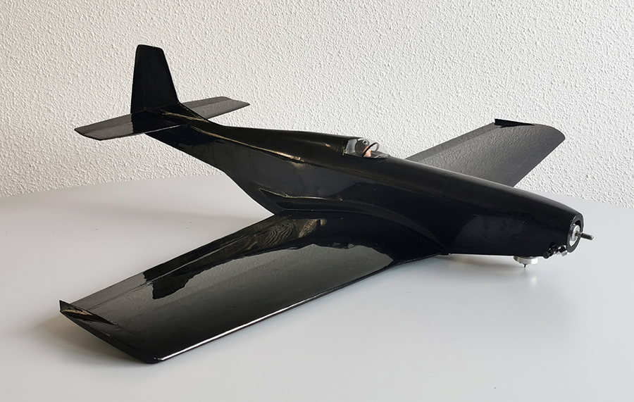 Ornithos_P-51__072