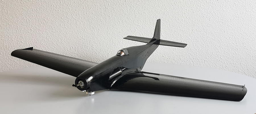Ornithos_P-51__073