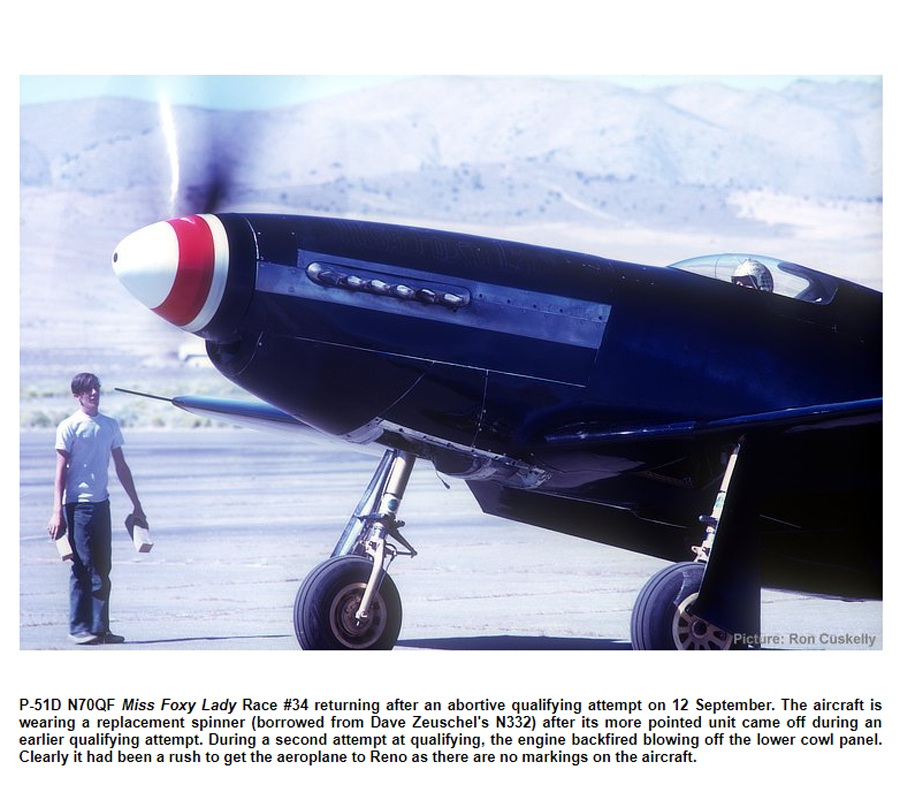 Ornithos_P-51__094