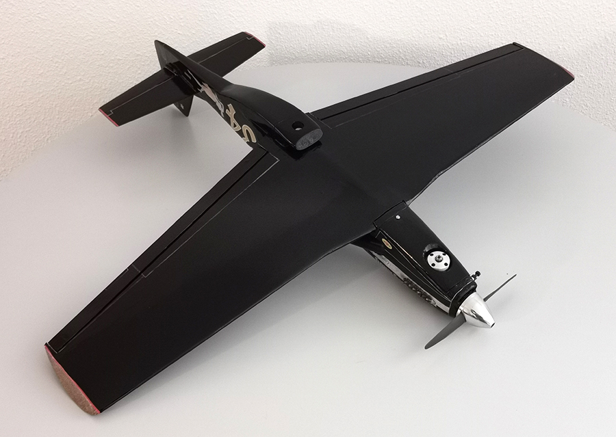 Ornithos_P-51__102