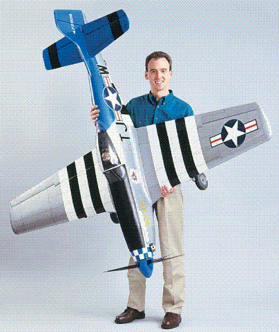 P 51 [640x480]