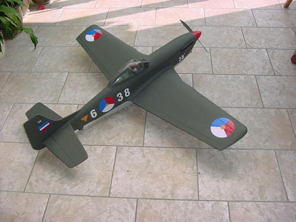 P 51 Mustang 002