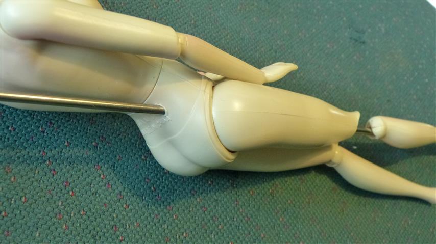 P1170174 (Small)