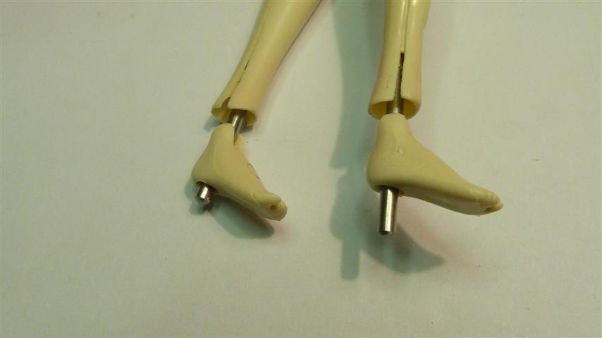P1170175 (Small)
