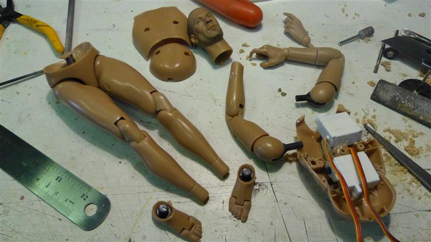 P1180101 (Small)