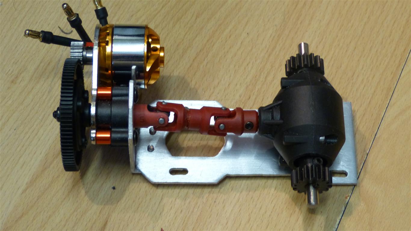 P1180324 (Medium)