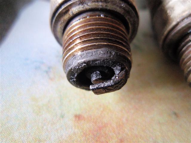 P3280144 (Small)
