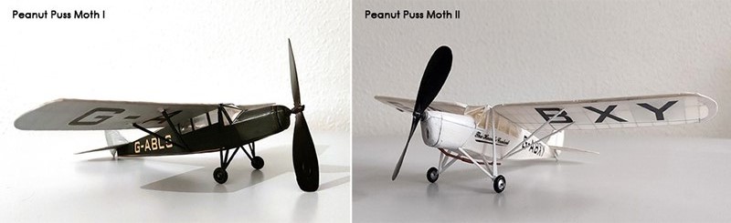 Peanut Puss Moth