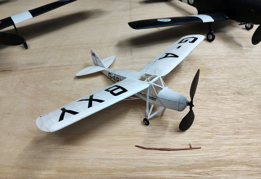PEANUT_MOTH__071