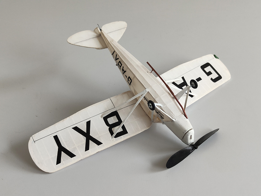 PEANUT_MOTH__080