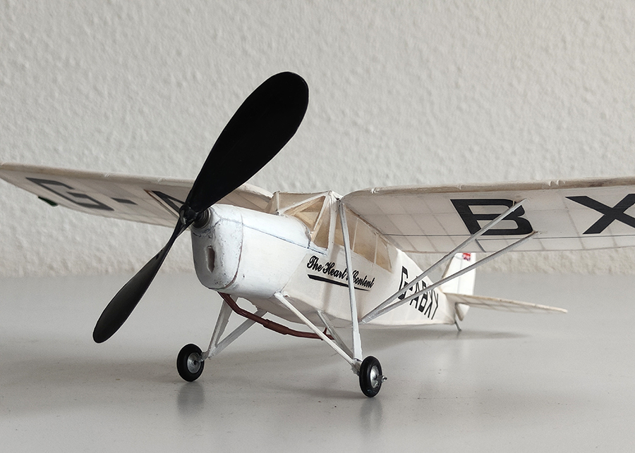 PEANUT_MOTH__081