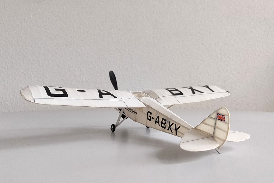 PEANUT_MOTH__084