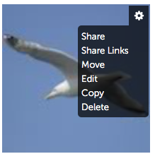 Photobucket 1
