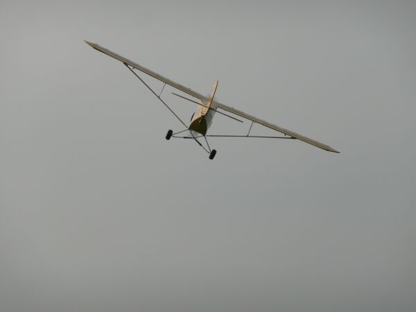 piper1