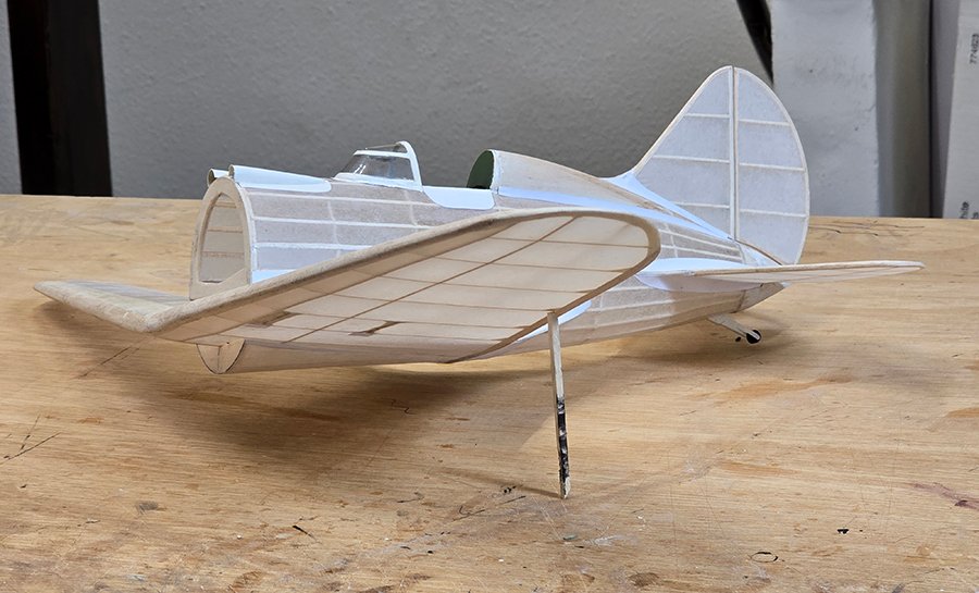 Polikarpov_I-16__107.jpg