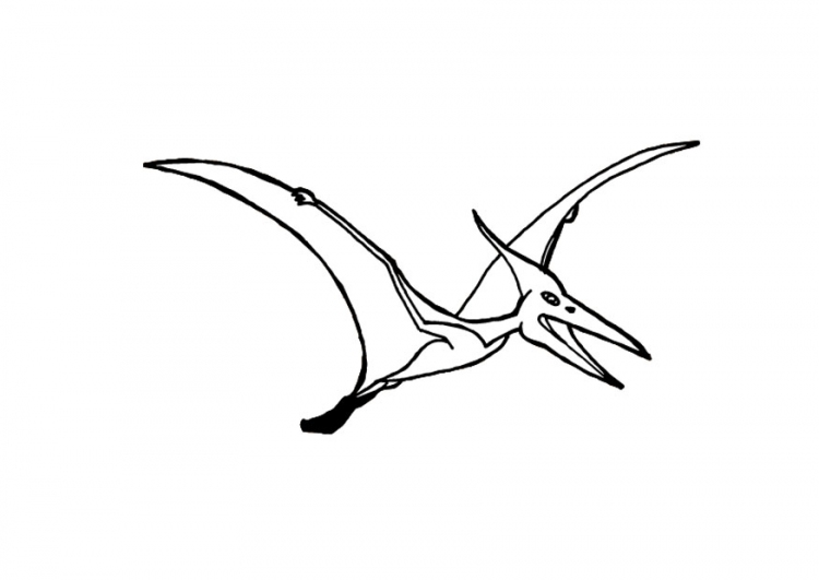 Pterosaurus