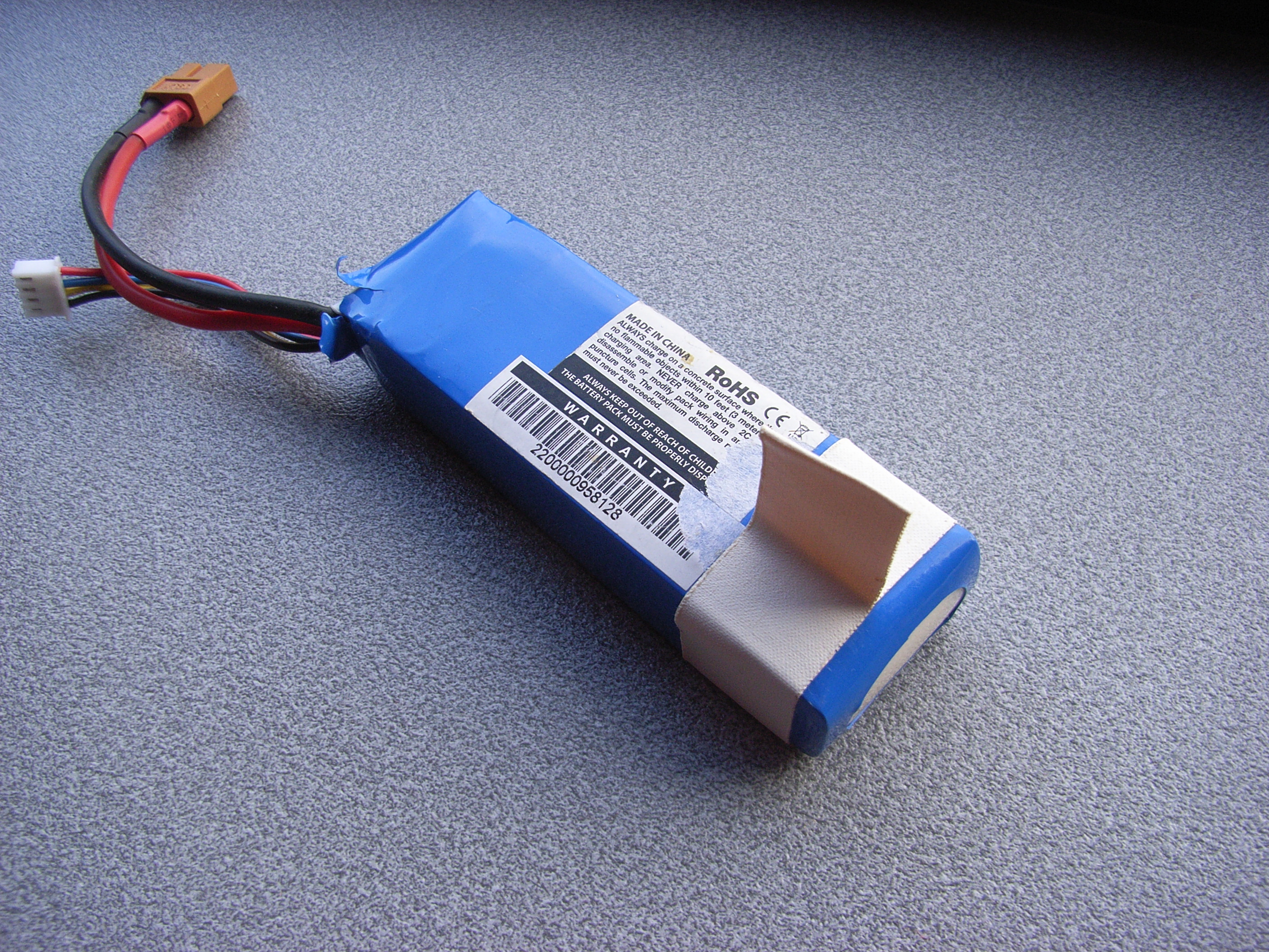 RIMG0010
