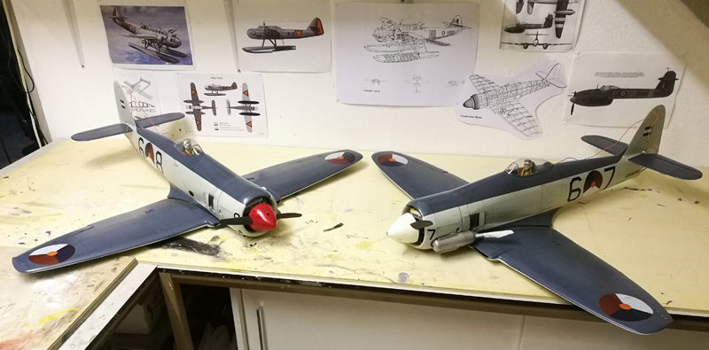 Sea Fury-279
