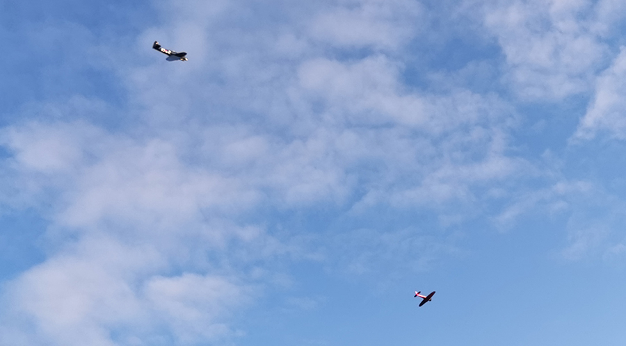 Sea_Fury_Frans__15