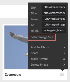 Select image size IS