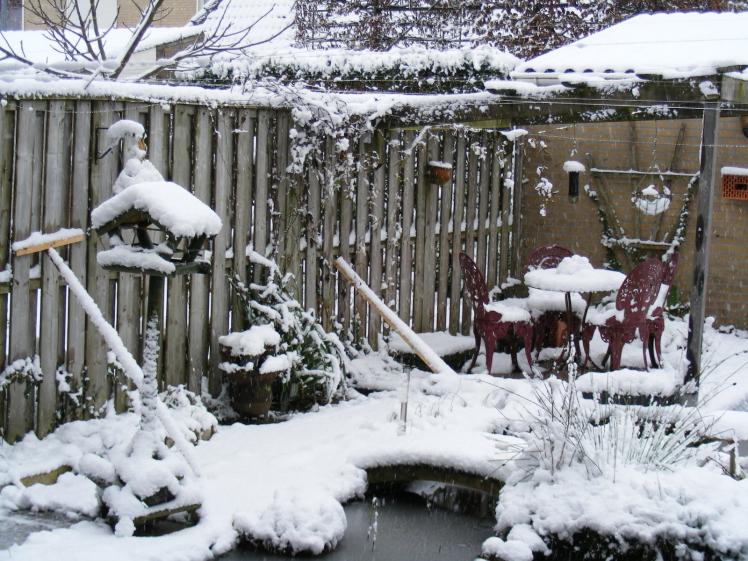 Sneeuw 07 12 2012