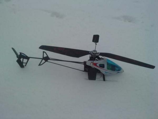 snow bee