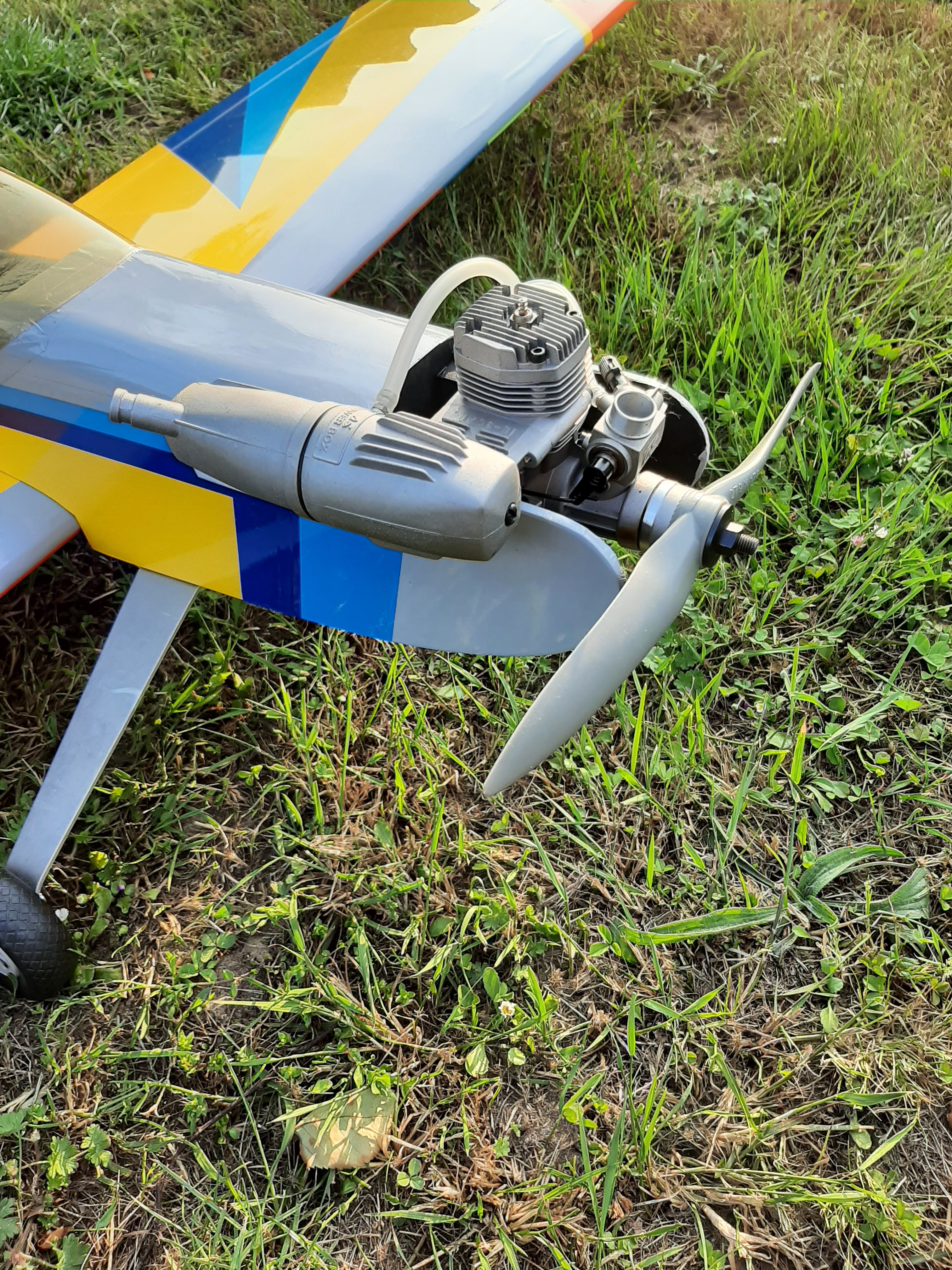 Soar 03.jpg