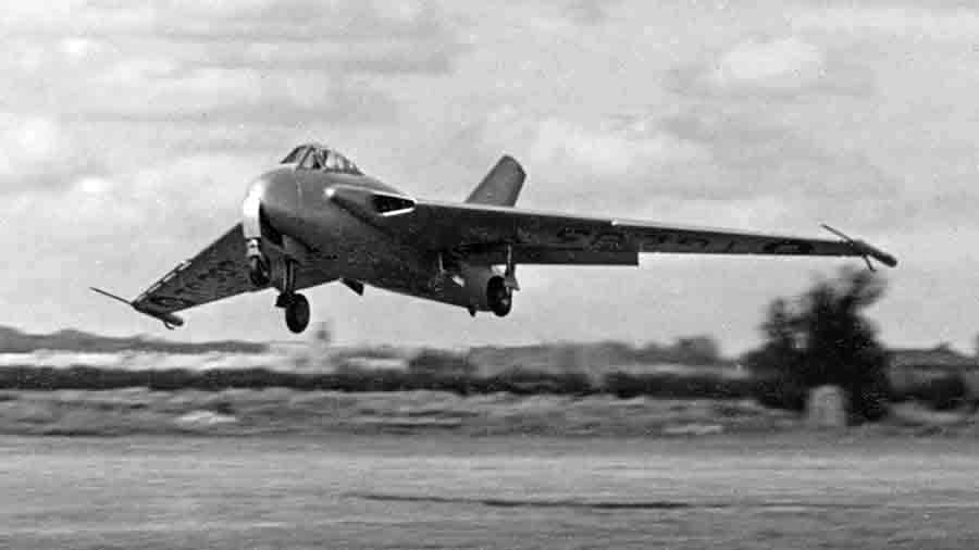 SWALLOW-002
