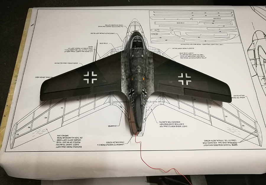 SWALLOW-005