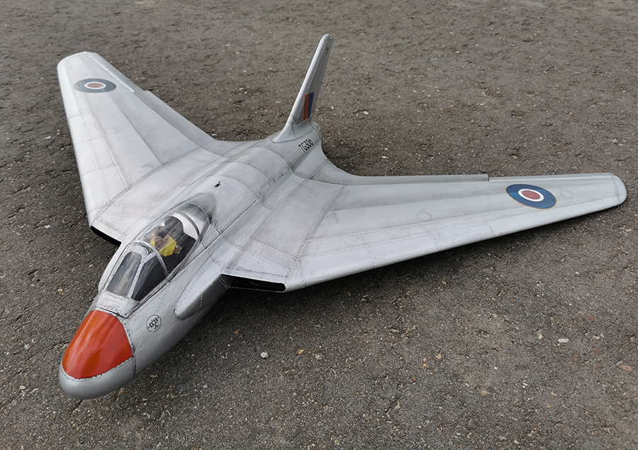 SWALLOW-173