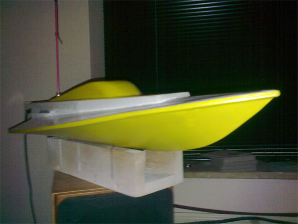 wiesel01 paint