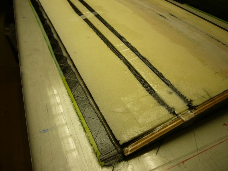 wing 48 splooge along trailing edge
