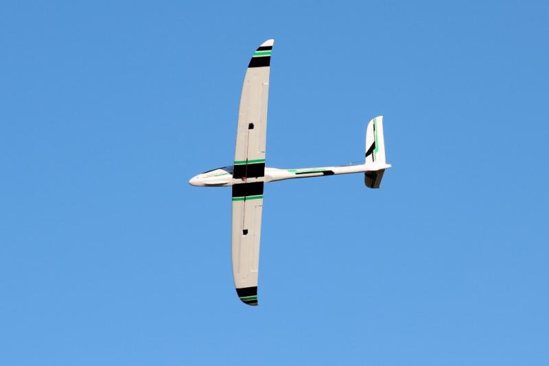 Zyp 053